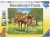 Puzzle Horses In The Field 100p